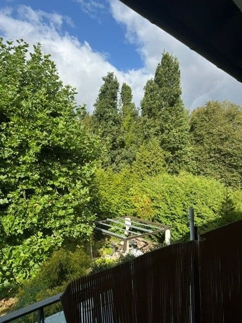 Blick ins Grüne