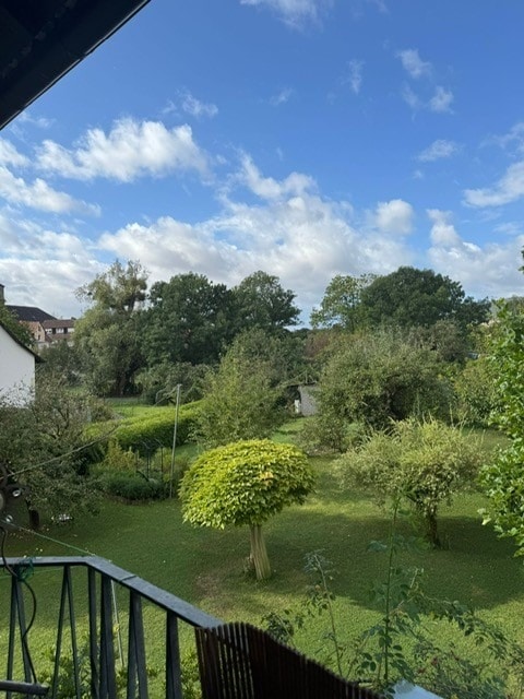 Blick ins Gru00fcne